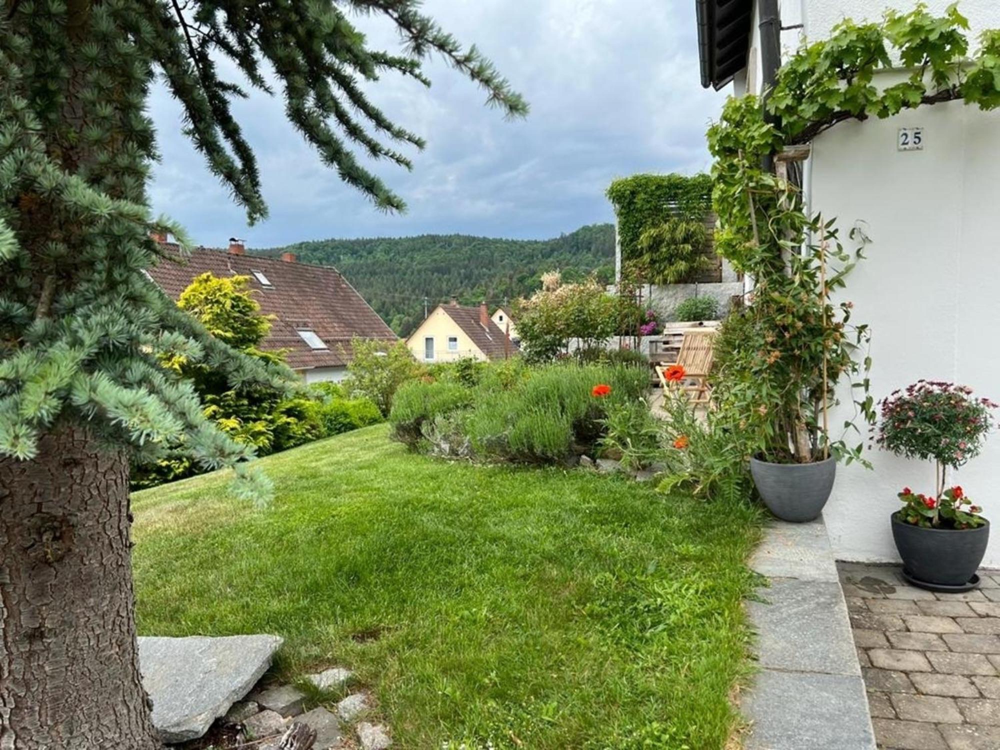 Ferienwohnung Jardin De Lavande Fridingen an der Donau Exteriér fotografie