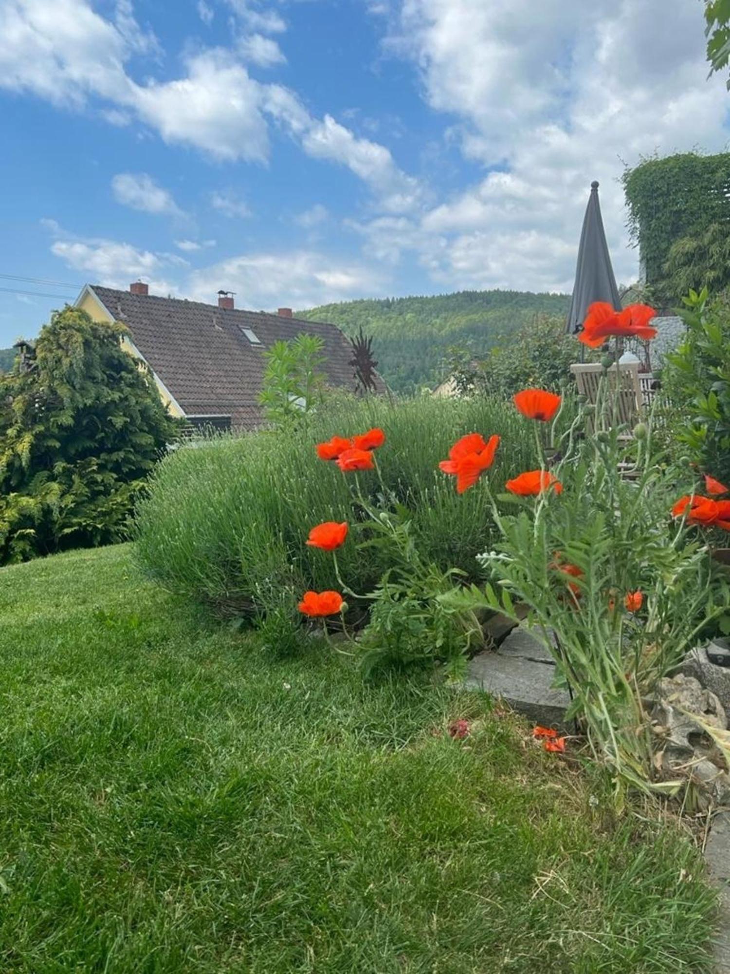 Ferienwohnung Jardin De Lavande Fridingen an der Donau Exteriér fotografie
