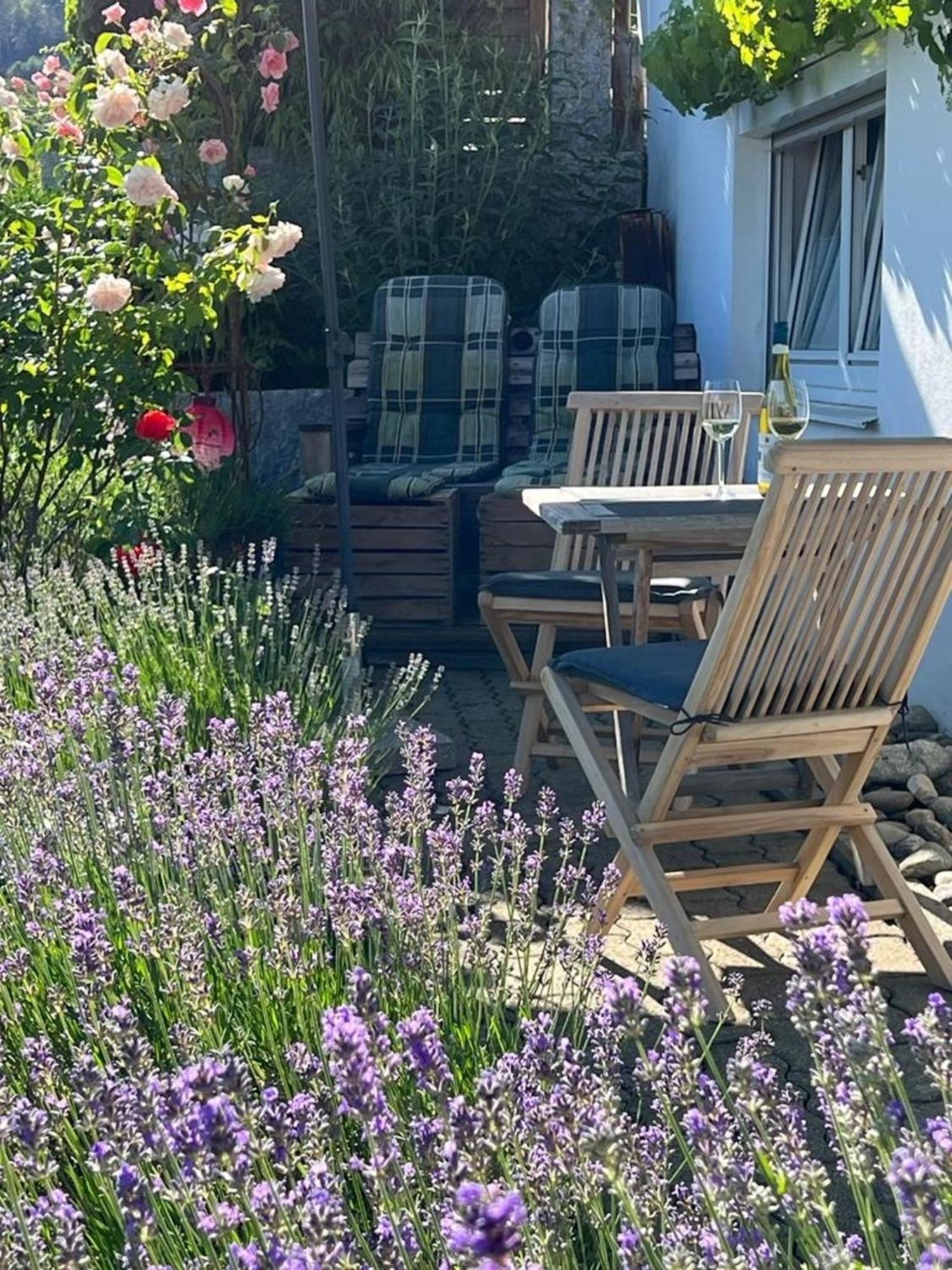 Ferienwohnung Jardin De Lavande Fridingen an der Donau Exteriér fotografie
